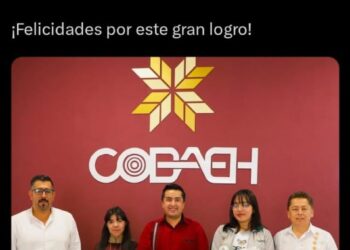 Alumnos de COBAEH ganan medalla de plata en certamen internacional de ciencias