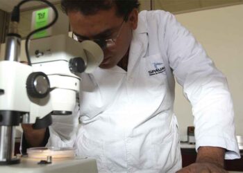 UAEH ofrece plazas para profesoras y profesores investigadores de tiempo completo