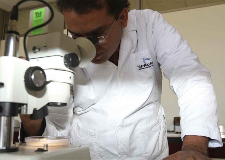 UAEH ofrece plazas para profesoras y profesores investigadores de tiempo completo