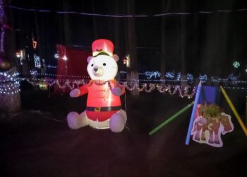 Arranca Magia Navideña en el Bosque El Cedral de  Mineral del Chico