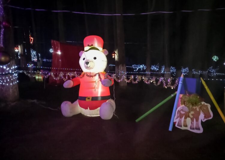 Arranca Magia Navideña en el Bosque El Cedral de  Mineral del Chico