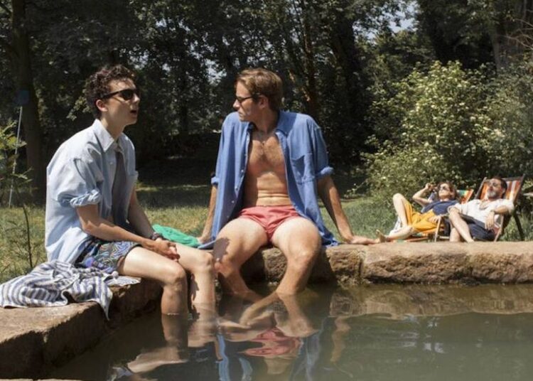 La película que convirtió a Timothée Chalamet en estrella