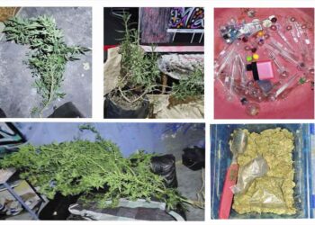 Desarticulan a dos grupos de venta, distribución y consumo de narcóticos que operaban en Mineral de la Reforma y Tlaxcoapan