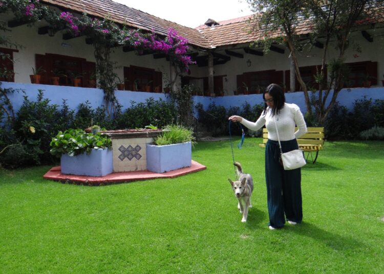 Hidalgo ofrece sitios Pet Friendly