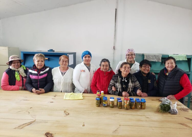 Estudiantes de ICAp llevan conocimiento a personas adultas mayores para elaborar conservas