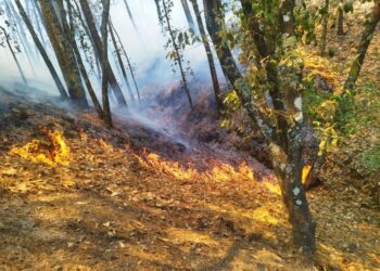 Incendio en el Parque Nacional El Chico