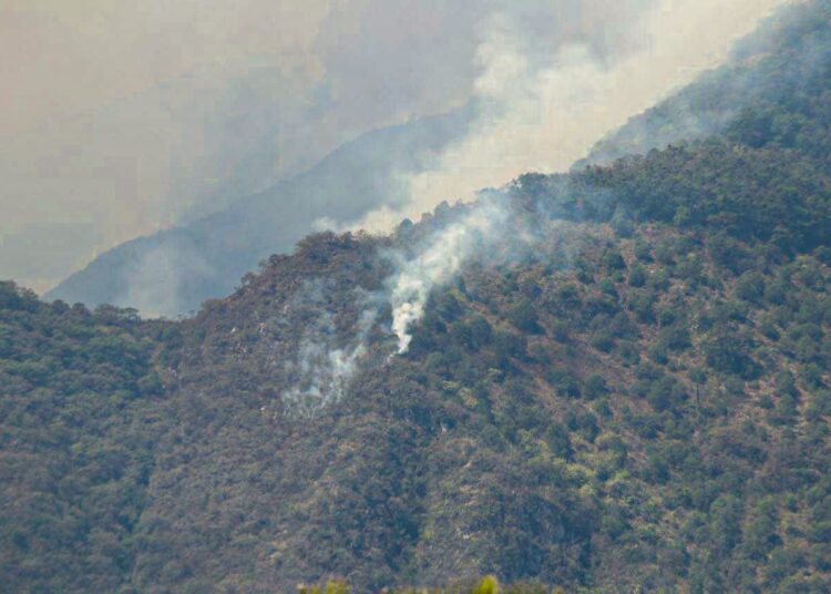 Inician recuento de daños materiales en incendio de Nicolás Flores