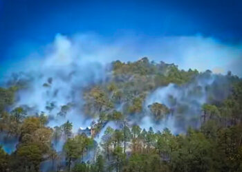 Actualización sobre el incendio en el Parque Nacional El Chico