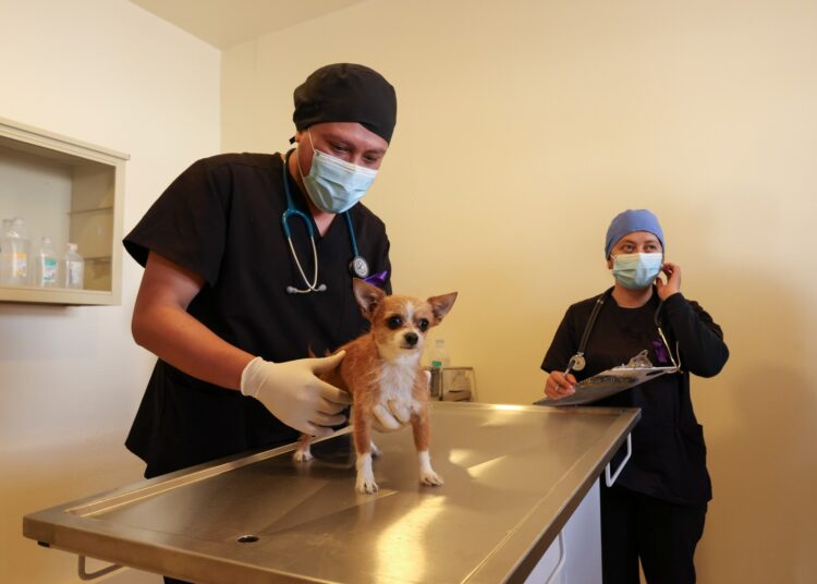 Autoridades estatales y municipales recorren Centro de Atención Integral Veterinario