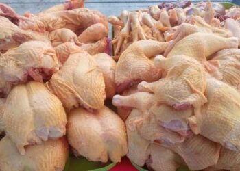 ¡Evita enfermedades! Sigue estas recomendaciones para comprar y consumir pollo