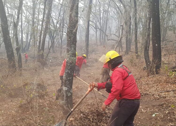 Incendio forestal en Nicolás Flores: 100% controlado y 98% liquidado