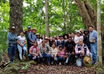 Ingeniería Forestal: Gestionando recursos renovables y sustentables