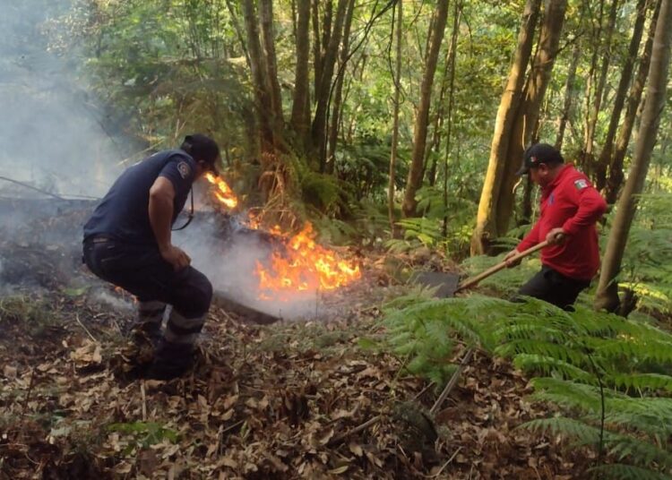 Incendios en Tlanchinol controlados: Ocotal sofocado, Chipoco en proceso