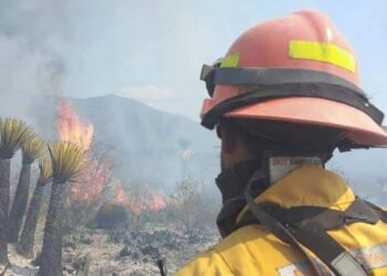 Atienden incendio forestal en la Sierra Alta;  10% liquidado