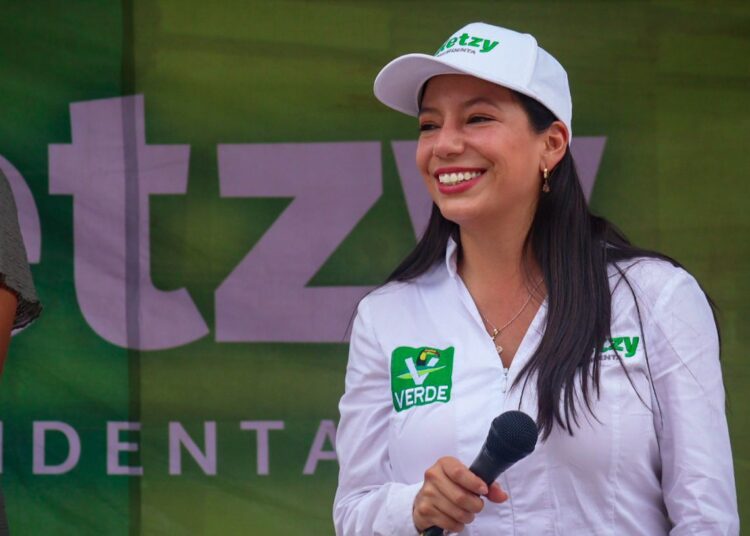 Consolidar proyectos para la conservación de zonas naturales de Tepeji será una apuesta del proyecto verde a la Diputación Local y Presidencia Municipal