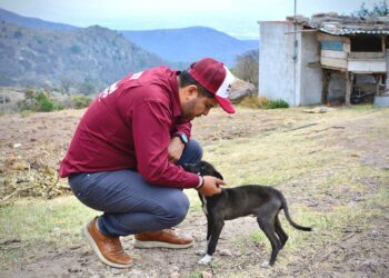 Tratar bien a los animales, nos convertirá en mejores seres humanos: Miguel Moreno