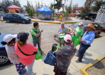 Alerta Escalante: Micro plástico y cristales rotos riesgo para menores que juegan en los parques