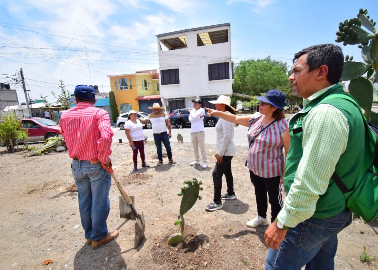 13 toneladas de heces diarias por perros en Pachuca y Mineral de la Reforma: Rubén Escalante
