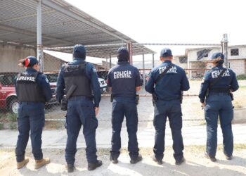 SSPH decomisa drogas y armas, en Metepec y Emiliano Zapata