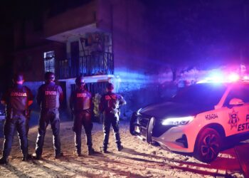 SSPH reporta un decomiso de más de 680 mil dosis de narcóticos