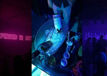 Que los espacios de diversión y recreación sean seguros, es responsabilidad de todos: titular de la Segobh