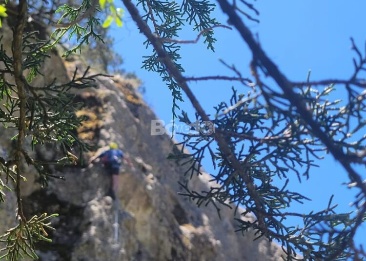 Los Halcones de Real del Monte celebran 80 años de tradición y aventura