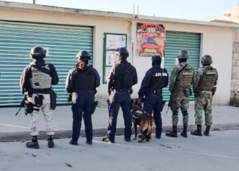 SSPH decomisa drogas y asegura vehículos en operativo en Tula