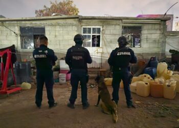 SSPH decomisa 197 dosis de drogas y arma de fuego en Epazoyucan