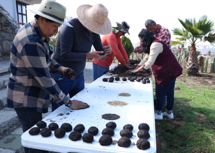 Semarnath combate incendios forestales y cambio climático con “Bolitas de Vida”