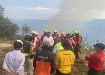 Incendios forestales en Tenango de Doria: trabajo conjunto para combatir el fuego