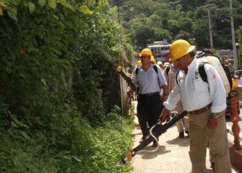 Invita la SSH a prevenir enfermedades mediante una adecuada disposición de los desechos sólidos