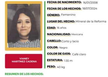 Ficha de busqueda en favor de VIANEY MARTÍNEZ