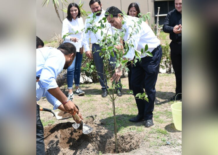 Congreso de Hidalgo lanza campaña “Sembremos un Árbol” para reforestar y fomentar la conciencia ambiental