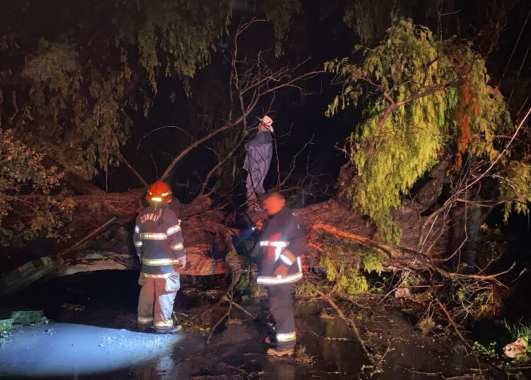 Fuertes lluvias provocan caída de árboles y afectaciones viales en Tula