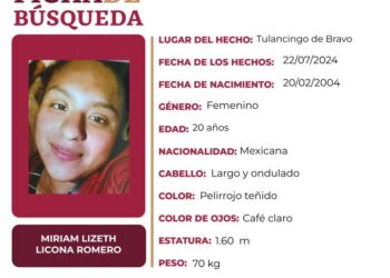 Ficha de búsqueda a nombre de Miriam Licona Romero