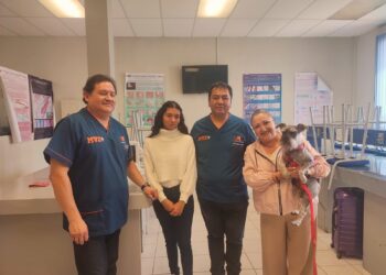 Investigadores de UAEH ofrecen valoración cardiológica gratuita para mascotas