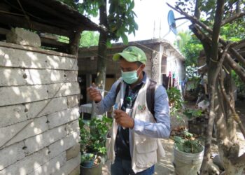 Más de 120 casos de dengue, zika y chikungunya en Hidalgo: SSH exhorta a la población a tomar medidas preventivas