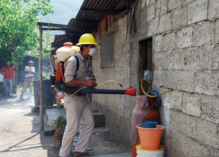 Actualización del Panorama Epidemiológico Estatal de Dengue