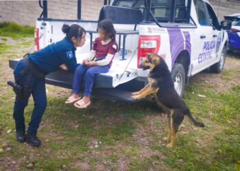 Rescatan a niña golpeada por su madre en Pachuca