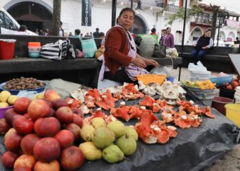 Se realizó exitosamente el Festival Universitario del Hongo y la Manzana en Acaxochitlán