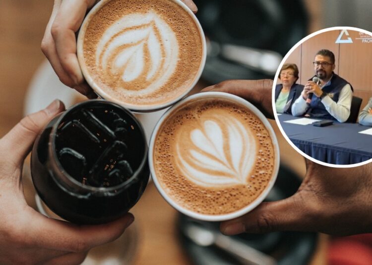 Sabor de Hidalgo y mucho más: Expo Café Pachuca 2024