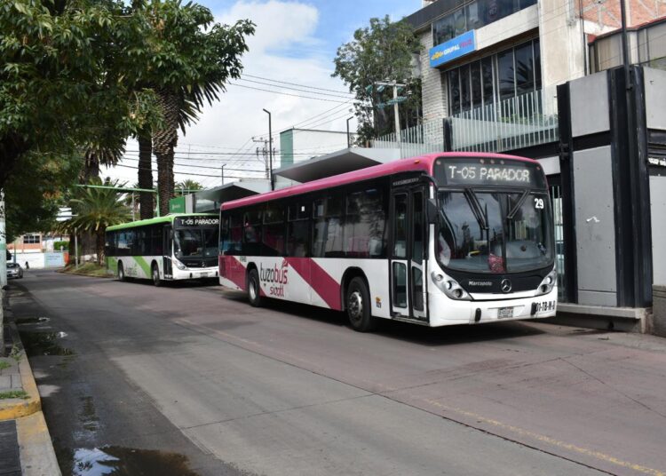 Adultos mayores podrán tramitar la Tarjeta Preferente del Tuzobús en evento del DIF Hidalgo