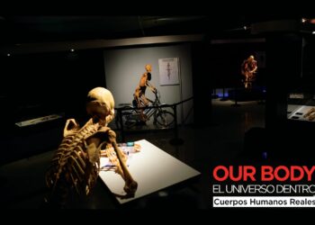 ¡Our Body llega a Pachuca! No te pierdas esta increíble experiencia