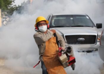 SSH intensifica acciones preventivas contra el Dengue en escuelas