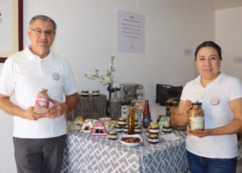 Hidalgo lidera el crecimiento del comercio minorista en México