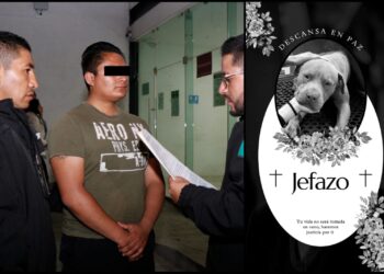 Aprehenden a probable agresor de perrito que perdió la vida en Mineral de la Reforma