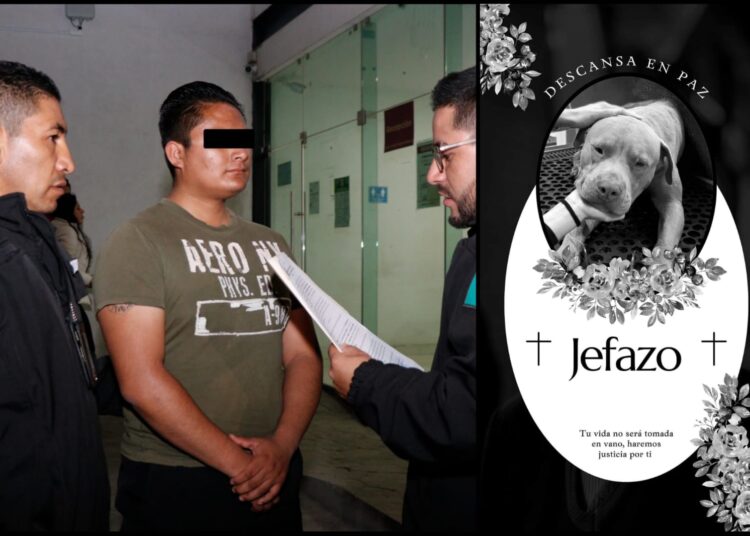 Aprehenden a probable agresor de perrito que perdió la vida en Mineral de la Reforma