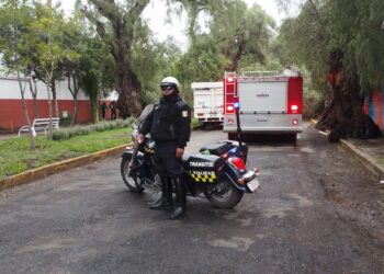 Árbol caído obliga a cerrar Avenida en Pachuca