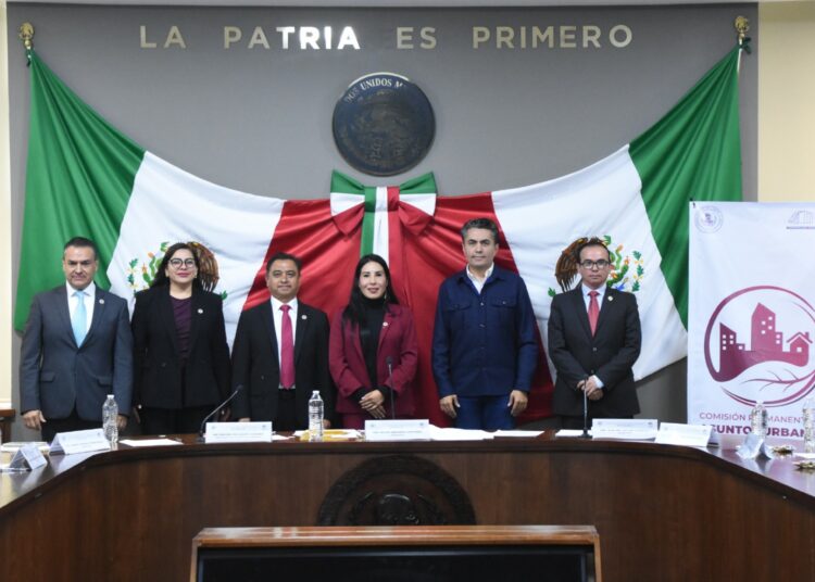 Zonas metropolitanas de Hidalgo requieren atención puntual: Hilda Miranda