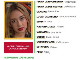Ficha de búsqueda a nombre de Yacziri Guadalupe Ochoa Estrada